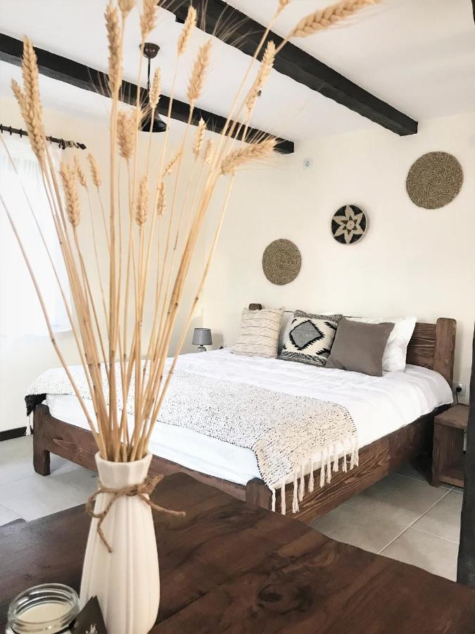Onomad Apartment Boljevac Екстериор снимка
