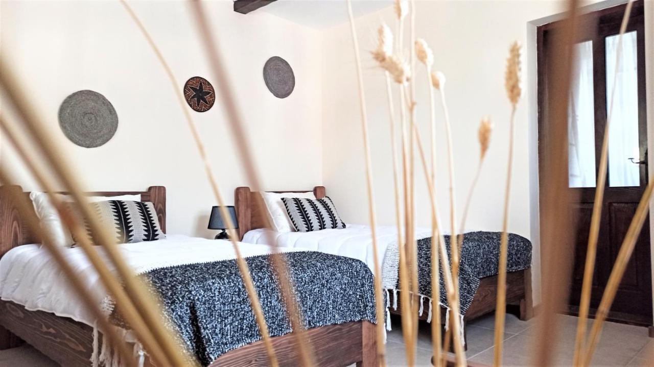 Onomad Apartment Boljevac Екстериор снимка