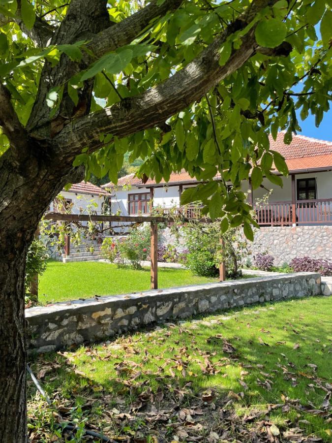 Onomad Apartment Boljevac Екстериор снимка